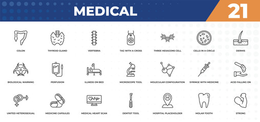 outline icons set - medical concept. colon, thyroid gland and more.