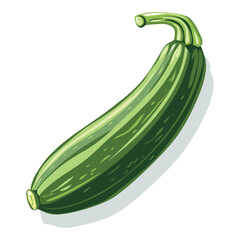 zucchini isolated on white background