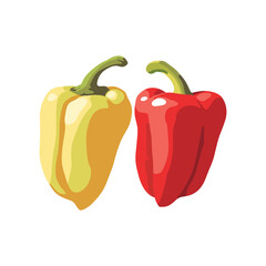 vector illustration of red pepper