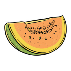 vector illustration of a melon