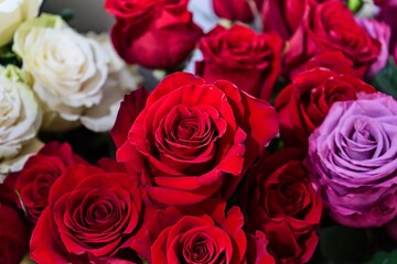 Deep Red Roses with Elegant Floral Contrast
