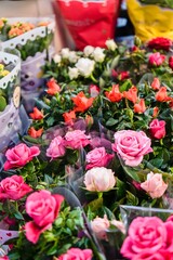 Vibrant Rose Bouquets in Floral Market Display