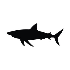 Fototapeta premium shark silhouette