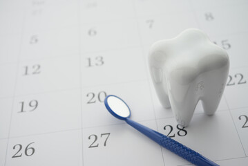 White healthy tooth model and dentist mirror on blank white calendar background with copy space....