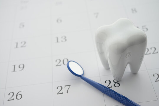 White healthy tooth model and dentist mirror on blank white calendar background with copy space. Dental appointment or schedule, dental care, healthcare, dental insurance concept.