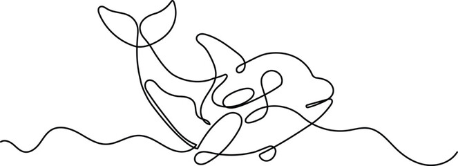Orca continuous one line drawing. Editable stroke on a white isolated background. Vector illustration 