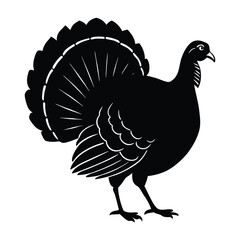 Turkey Walking with Tail Slightly Spread Silhouette