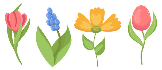 Set of spring cute flowers. Vector drawing pink tulip, blue hyacinth, yellow sun flower. Easter holiday floral decor. Logo for flower business, print, decor, decoration, decoration