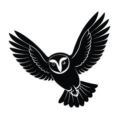 Obraz premium Barn Owl in Silent Flight with Rounded Wings Silhouette