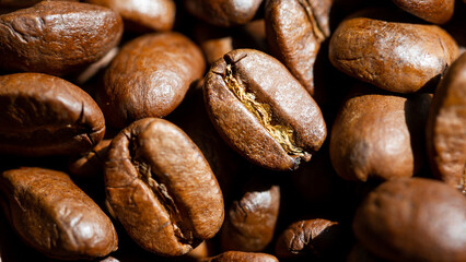 Roasted coffee beans in the morning sunlight close up
