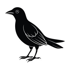 Blackbird with Beak Pointed Forward Standing Silhouette