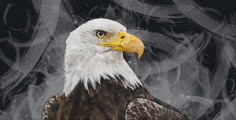 american bald eagle digital watercolor wall art-with paper texture