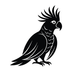 Cockatoo Sitting with Crest Raised in Silhouette