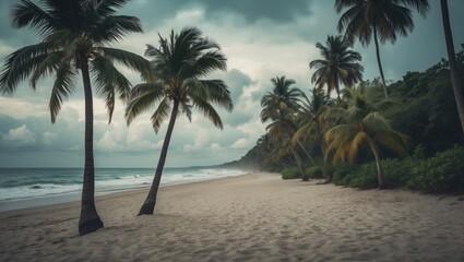Obraz premium Sunny beach scene featuring palm trees, backdrop.