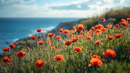 Vivid Red Poppies by Sea Landscape