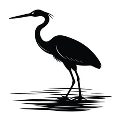 Egret Walking Through Water with Graceful Silhouette