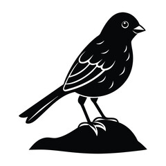 Finch on a Rock with a Tiny Beak Silhouette