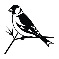 Goldfinch Standing on a Thin Twig in White Silhouette