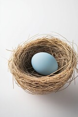 Cute egg in bird nest in Spring