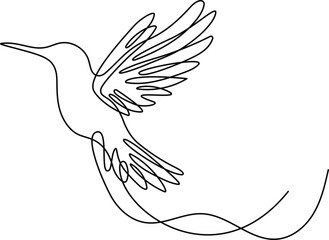 Hummingbird continuous one line drawing. Editable stroke on a white isolated background. Vector illustration