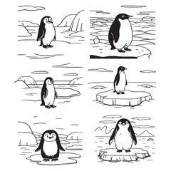 Obraz premium Cute penguin on the beach