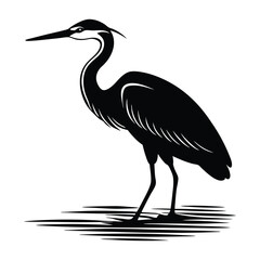 Heron Standing Near Water with Long Beak Pointed Silhouette