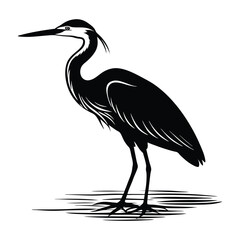 Obraz premium Heron Near Water with Pointed Long Beak Silhouette
