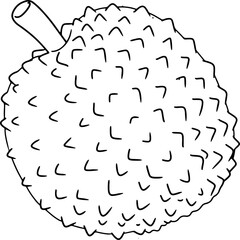 durian doodle