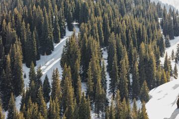 snow covered mountains in winter