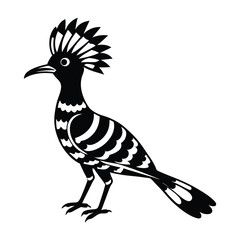 Hoopoe Standing with Distinctive Head Crest Silhouette