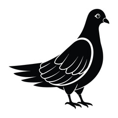 Pigeon Standing with Slightly Open Wings Silhouette