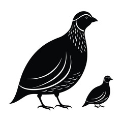 Quail Standing with a Plump Body and Short Tail Silhouette
