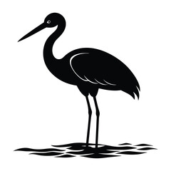 Obraz premium Stork Standing in Shallow Water with Long Low Beak Silhouette