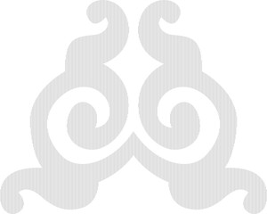 An icon featuring a stylized graphic design element, showcasing unique typography and creative use of fonts.