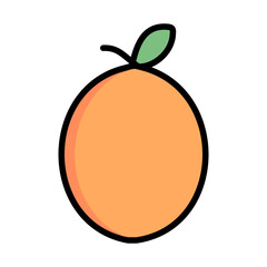 Kumquat fruit vector icon sign illustration