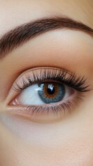 Obraz premium Close-up of a Woman's Eye with Long Eyelashes
