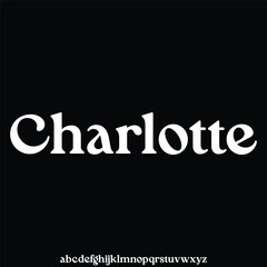 Bold vintage serif alphabet display font vector. Elegant branding typeface