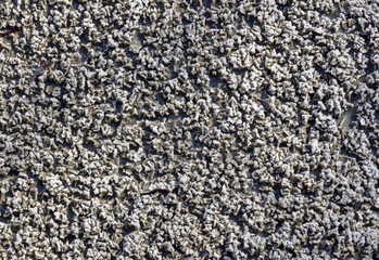 Close-up of naturally crystallized salt on the ground