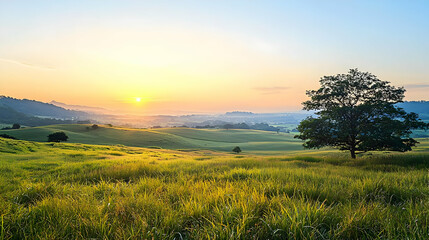 Obraz premium Golden Sunrise Over a Tranquil Green Meadow With Lush Grass a Solitary Tree and Rolling Hills in the Hazy Distance
