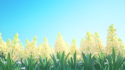 A vibrant field of yellow hyacinths blooming under a clear blue sky in the early spring.