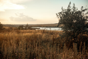 Stunning sunset over a serene grassy field in the foreground and a lake in the distance