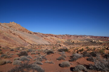 Fototapeta premium Pretty Scenic Red Rock Desert Landscape with Greenery Shrubs Stereotypical