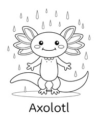 Axolotl coloring book far kids pages