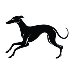 Fototapeta premium Whippet Sprinting with Aerodynamic Body Silhouette for Stock Illustration