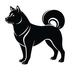 Akita Inu Standing Proudly with a Curled Tail Silhouette Isolated