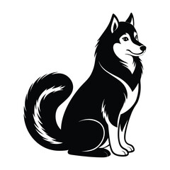 Alaskan Malamute Sitting with Bushy, Curled Tail Silhouette Isolated