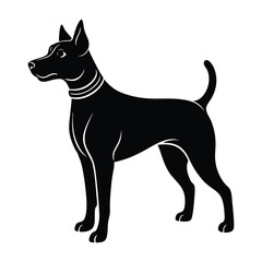 Alert Dog with Perked Ears Silhouette Isolated