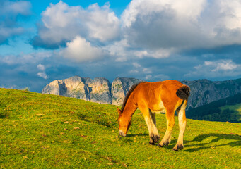 Relax de ultima hora