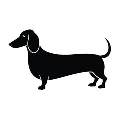 Dachshund Walking with Long Body and Short Legs Silhouette Isolated