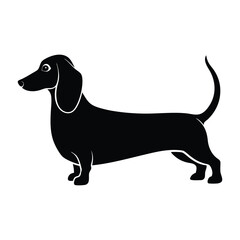 Dachshund in Motion with Long Body and Short Legs Silhouette Isolated